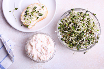 Toasts with cream and radish microgreen