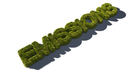 The word Emissions as green gras letters