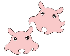 メンダコ キャラクター イラスト