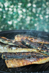 Grilled mackerel fish on the barbecue, outdoor