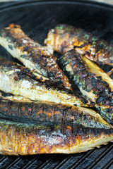 Obraz na płótnie Canvas Grilled mackerel fish on the barbecue, outdoor