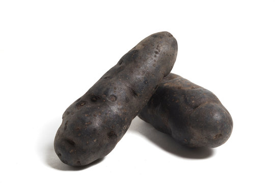 peruan black papa