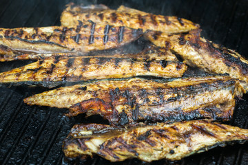 Grilled mackerel fish on the barbecue, outdoor