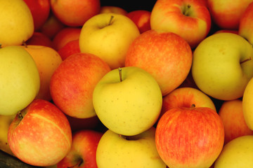Fototapeta na wymiar Pile of fresh ripe red and yellow apples