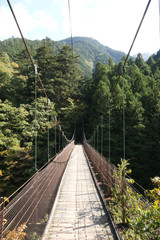 Obraz premium Okutama Mukashi Michi Hike - Japan