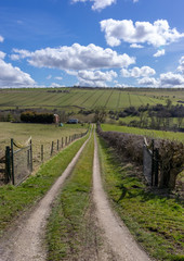 Dirt track to Farm Portrait