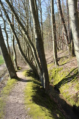 Hiking on "Spessartbogen" Trail in early spring