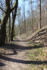 Wandern auf dem Spessartbogen Trail Frühling