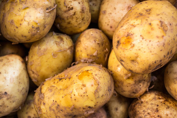 potatoes on a background