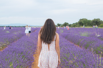 Backside of a teenager walking through a lavender field