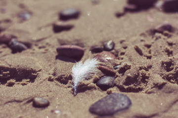 baltik beach