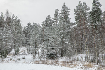 Photo shot of a car window. Winter landscape   Finland. 03.2020