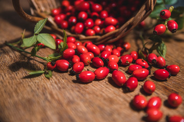 Dark red rose hip on basket