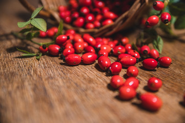 Dark red rose hip on basket