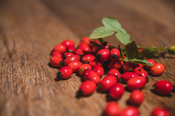 Dark red rose hip on basket