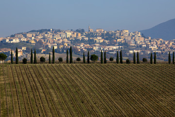 Ancona, Italy - January 1, 2019: A typical landscape in Marche country, Ancona, Marche, Italy