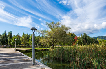 Obraz premium A little beautiful lake with wild ducks, in the park of Banyoles, Close to big lake of Banyoles,Girona, Catalonia, Spain