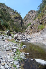 Madeira Wldbach