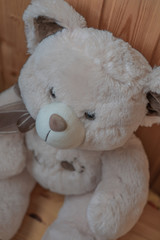 Closeup top view of light brown teddy bear