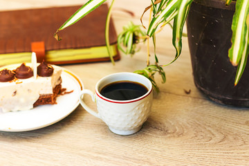 cack, notebook, plant on wooden table