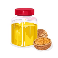 Whole walnut and its half are next to transparent jar closed by red lid with yellow oil. Natural antioxidant. Used in cooking, culinary, soapmaking. Vector isolated on white for packaging design.