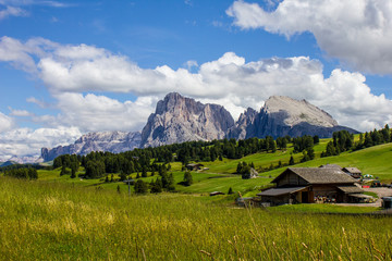 Fototapeta na wymiar Compatsch (Compaccio) Houses with Langkofel and Sella Group Mountains in the Background