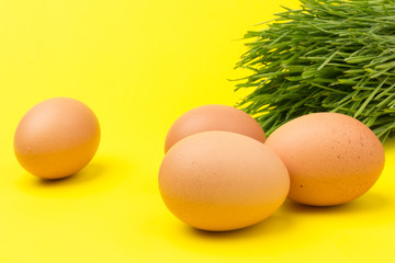 Brown eggs on green grass, isolated on yellow background.