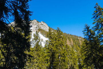 Hoher Fricken Frühling 