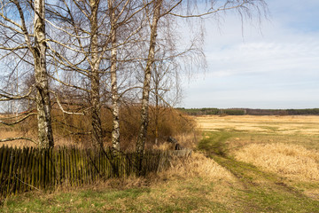 Wiosna na Podlasiu. Wiosna w Dolinie Górnej Narwi. Podlasie, Polska © podlaski49
