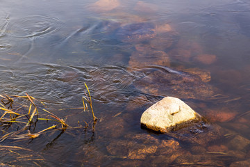 Wiosna na Podlasiu. Wiosna w Dolinie Górnej Narwi. Podlasie, Polska © podlaski49