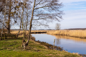 Wiosna na Podlasiu. Wiosna w Dolinie Górnej Narwi. Podlasie, Polska © podlaski49