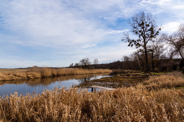 Wiosna na Podlasiu. Wiosna w Dolinie Górnej Narwi. Podlasie, Polska © podlaski49