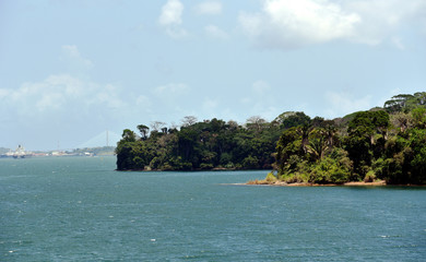 Naklejka premium Green landscape of Panama Canal, view from the transiting cargo ship.