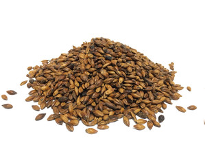 Roasted barley grain tea on white background infusion made from barley which is a staple across East Asian