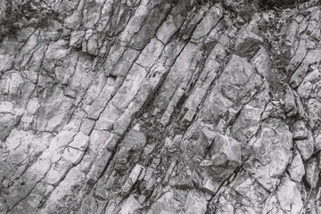 Closeup view black and white photography of structure of real rock. Anbstract organic background.