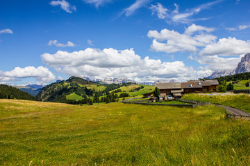 Fototapeta na wymiar Seiser Alm Plateau in the Dolomites on a Summer Day