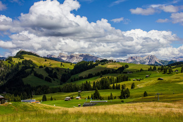 Fototapeta na wymiar View of Alpe di Siusi (Seiser Alm) with Dolomites in the Background