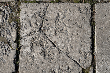 Natural natural texture of a stone slab with gray plaster in macro shot