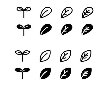 23 1 Best 新芽 Images Stock Photos Vectors Adobe Stock