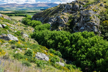 view a green canyon of the mountains