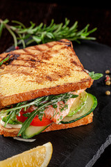 Vegetarian American Cuisine. Homemade toast sandwich with red fish salmon, arugula, cucumbers and tomatoes, white sauce. Sandwich on a black background. copy space text