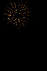 Obraz premium Colorful fireworks on the black sky background.