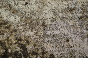 Textured surface with dark spots is covered with old silver paint. Colors - Paua, Mist Gray.