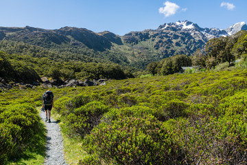 routeburn hiking trail in the mountains