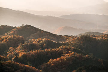 Obraz premium Autumn in the mountains of Japan