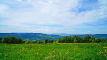 Fototapeta na wymiar Panoramic view of the Carpathian mountains covered by a green forest under a blue sky and white clouds