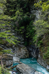 turquoise water in deep forest along routeburn track