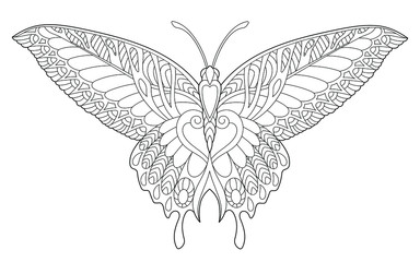 Coloring page. Beautiful butterfly insect. 
