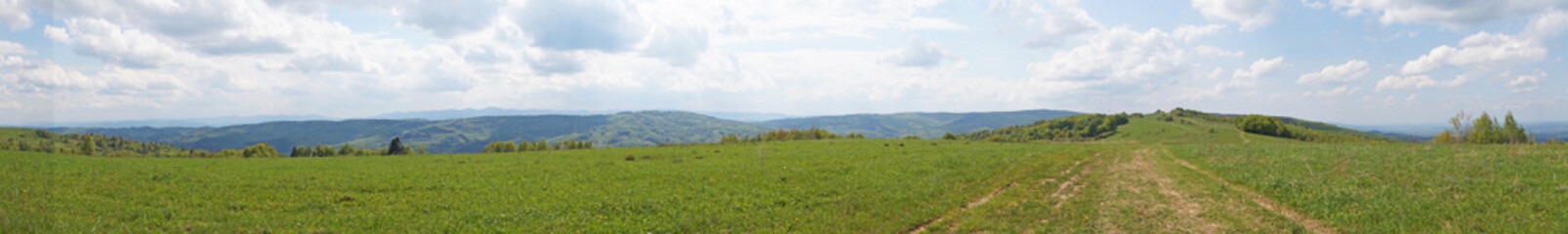 Obraz premium Panoramic view of the Carpathian mountains covered by a green forest under a blue sky and white clouds