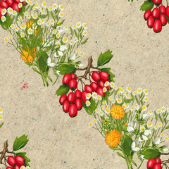 Hand drawn medicinal plant seamless pattern. Healing herbs drawing on craft paper.